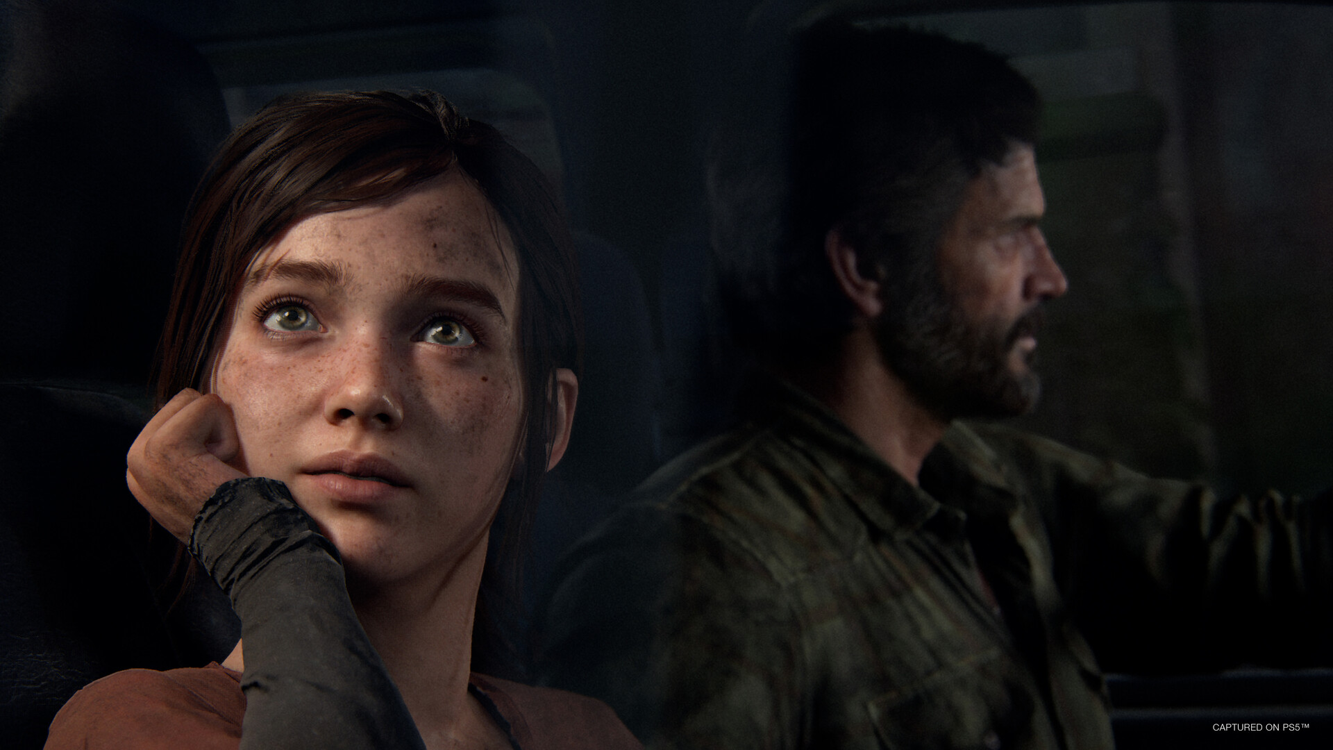 图片[14]-最后生还者-美末1/The Last of Us™ Part I（v1.1.2.0+预购奖励+前传-全DLC）-VIP单机驿站-VIP单机游戏库